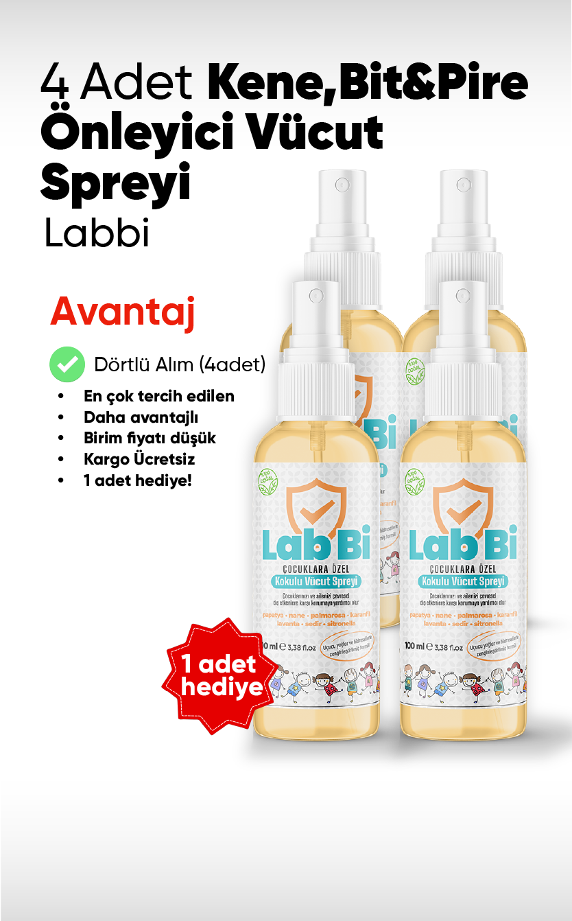 Labbi 4 Adet