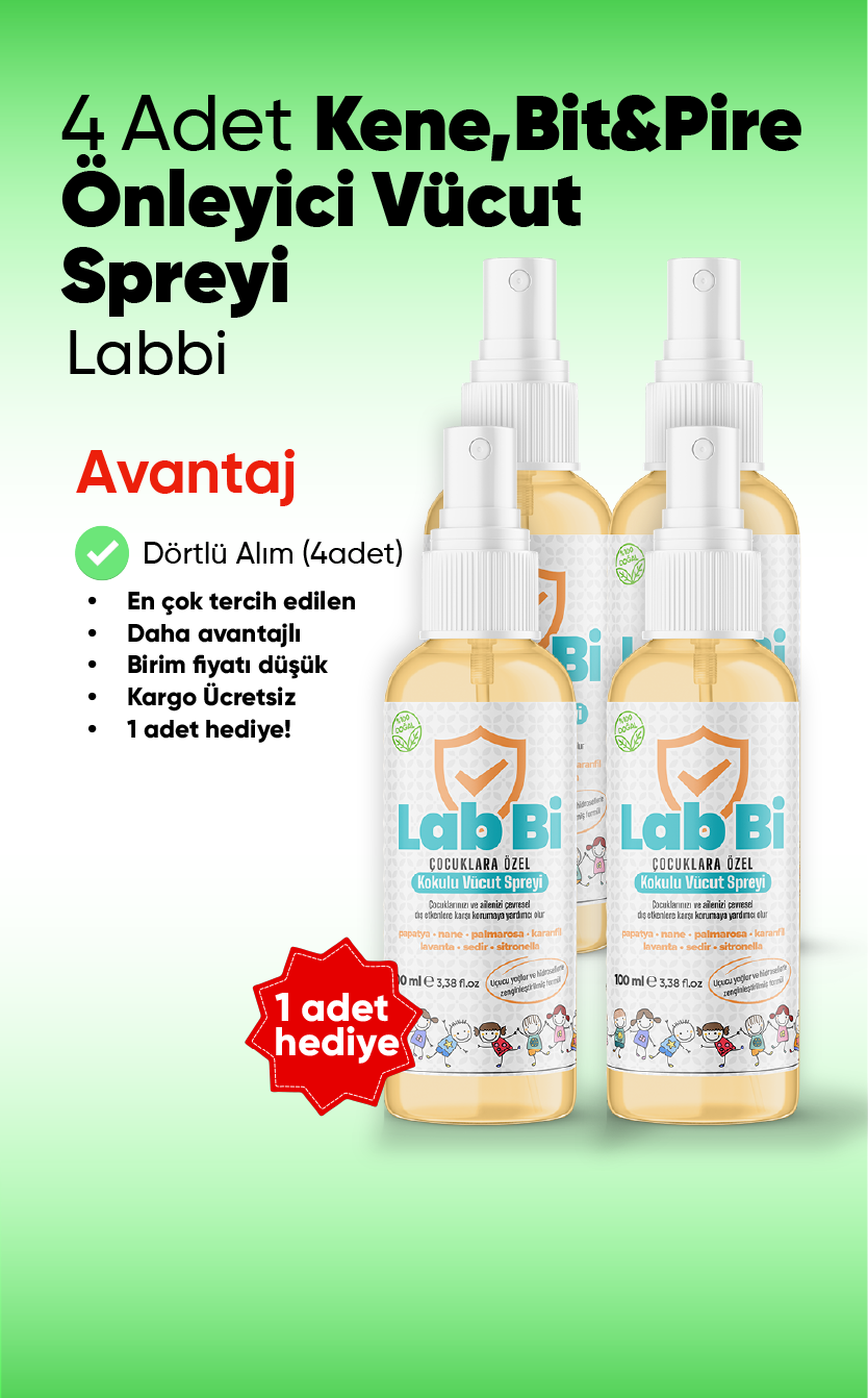 Labbi 4 Adet